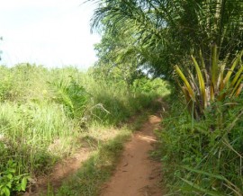 L’achat du terrain