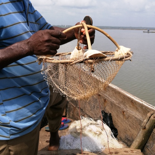 Pêche au crabe Bénin